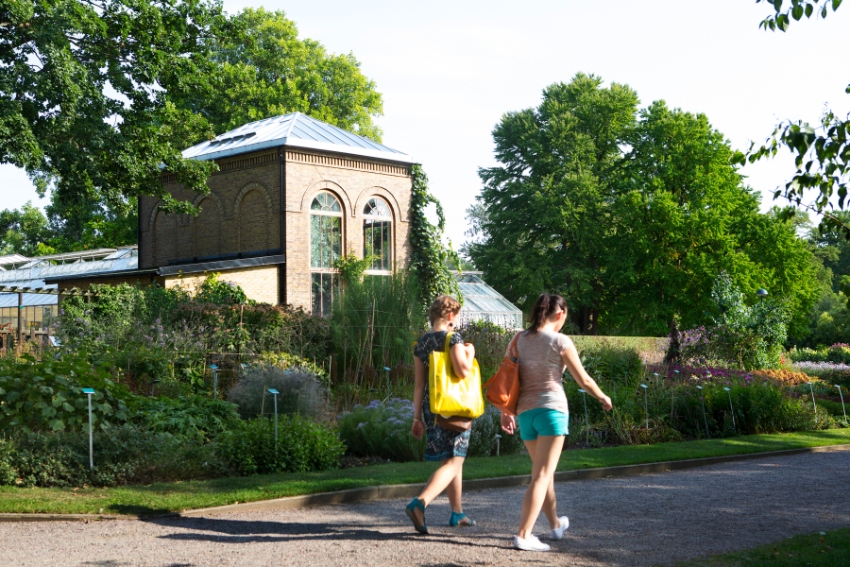Två personer promenerar i botaniska trädgården. Foto