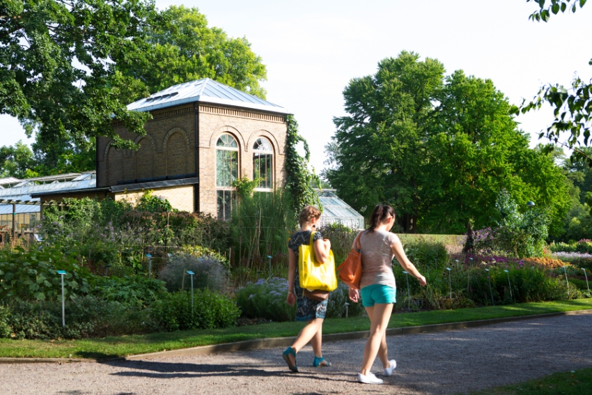 Two persons walking in the botanical garden. Photo